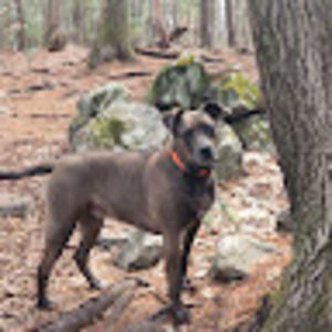 Meet your Posher, Jason